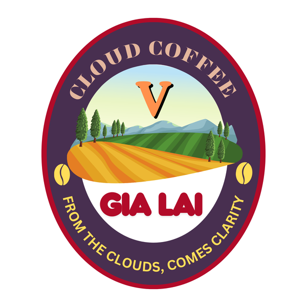 V. CLOUDS COFFEE - GIA LAI